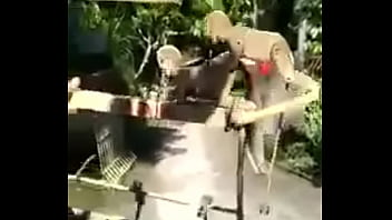 Video Mesum Indonesia
