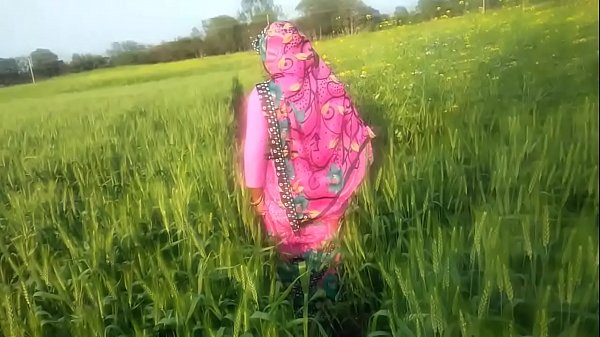 Desi Bhabhi Digoda di Ladang, Bercinta Liar di Alam Terbuka
