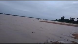 Tante India yang menggoda