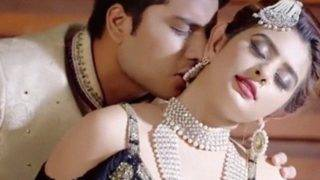 Film Sexy Zid (2020) Asli Hindi Pendek, Bikin Ngilu Nikmat