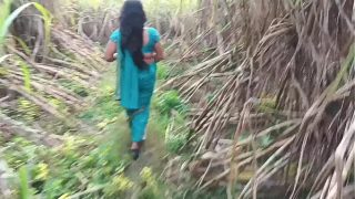 Ngentot istri orang di kebun tebu, montok, basah, makin kencang pas digebukin.