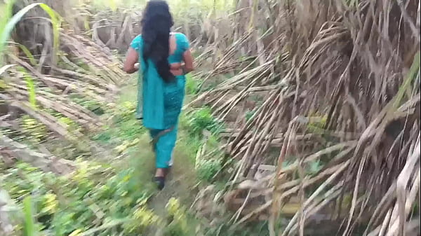 Ngentot istri orang di kebun tebu, montok, basah, makin kencang pas digebukin.