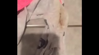 Tubuhnya basah kuyup, desahan berat mulai terdengar.